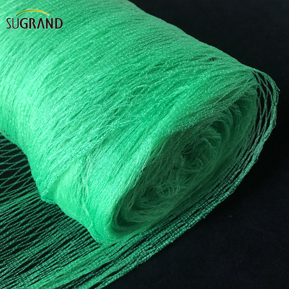 Green Bird Net 4x30m Net Bird για προμηθευτές αγοράς της Ταϊλάνδης