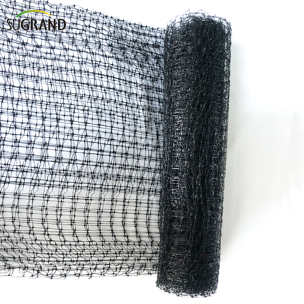 40g μαύρο 15x15 ή 16x16 βαρέως τύπος φρούτων δένδρου δέντρου δέντρων πουλιών