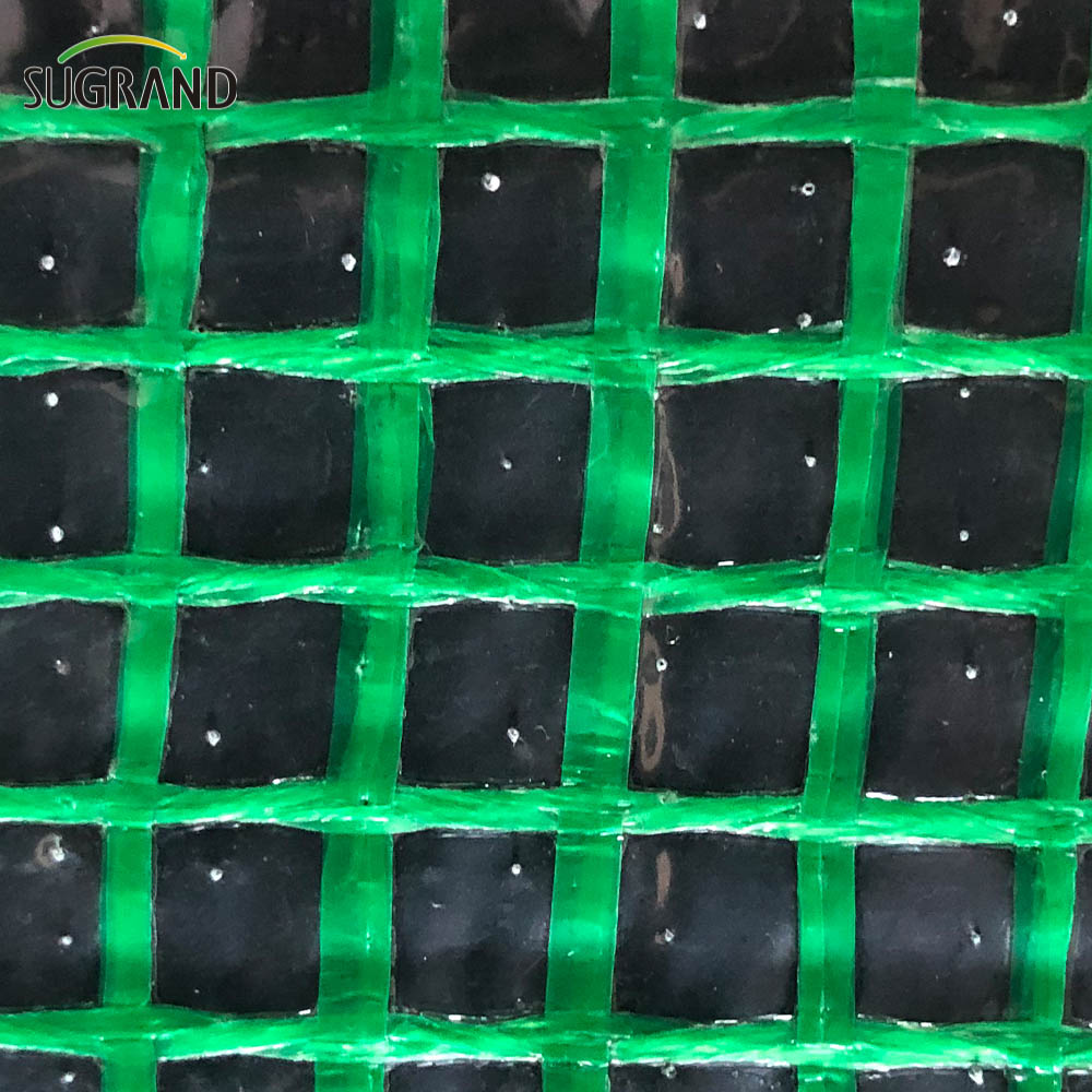 Κατασκευή Tarpaulin Ασφάλεια πλέγμα καθαρό πλέγμα pe tarpaulin