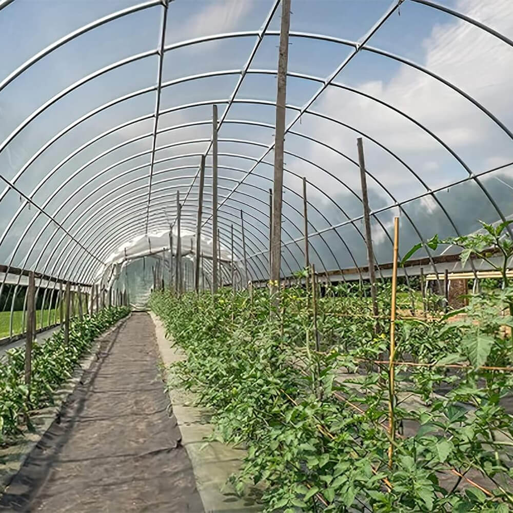 Πλαστικό φιλμ θερμοκηπίου πολυαιθυλενίου