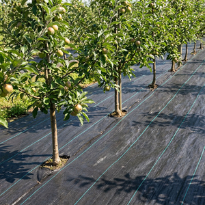 Χονδρικό PP Weed Mat OEM/ODM Weed Barrier