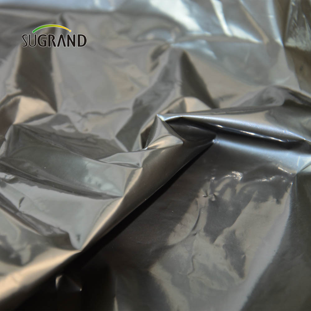 Κινέζικο εργοστάσιο 0.4m-5m πλαστικό φιλμ μεμβράνης για λαχανικό κήπο