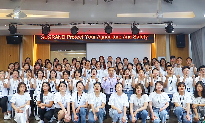 δίχτυ ικριώματος