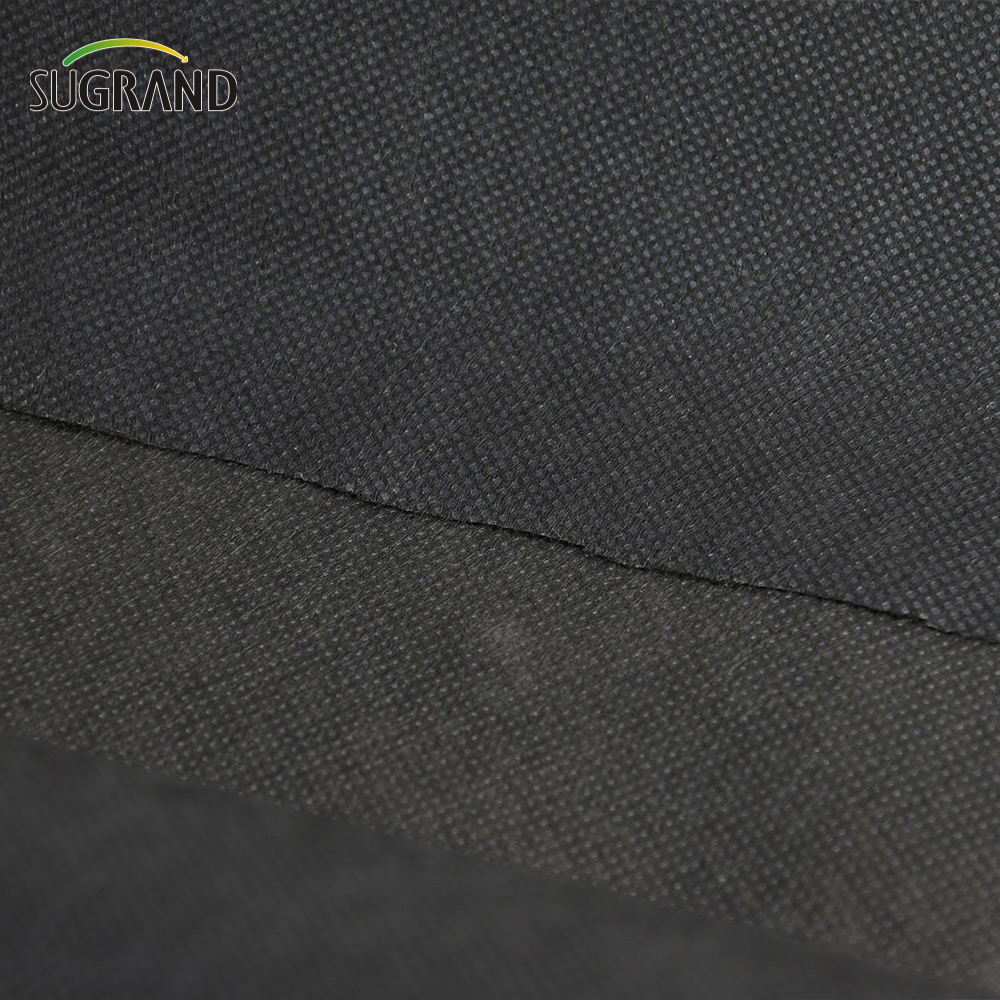 Φυτική κάλυψη μη υφασμένου υφάσματος ζιζανίων MAT 100 pp Μη υφαντά ύφασμα