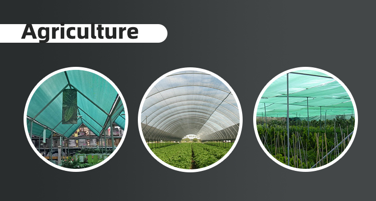 Σκάλισμα θερμοκηπίου