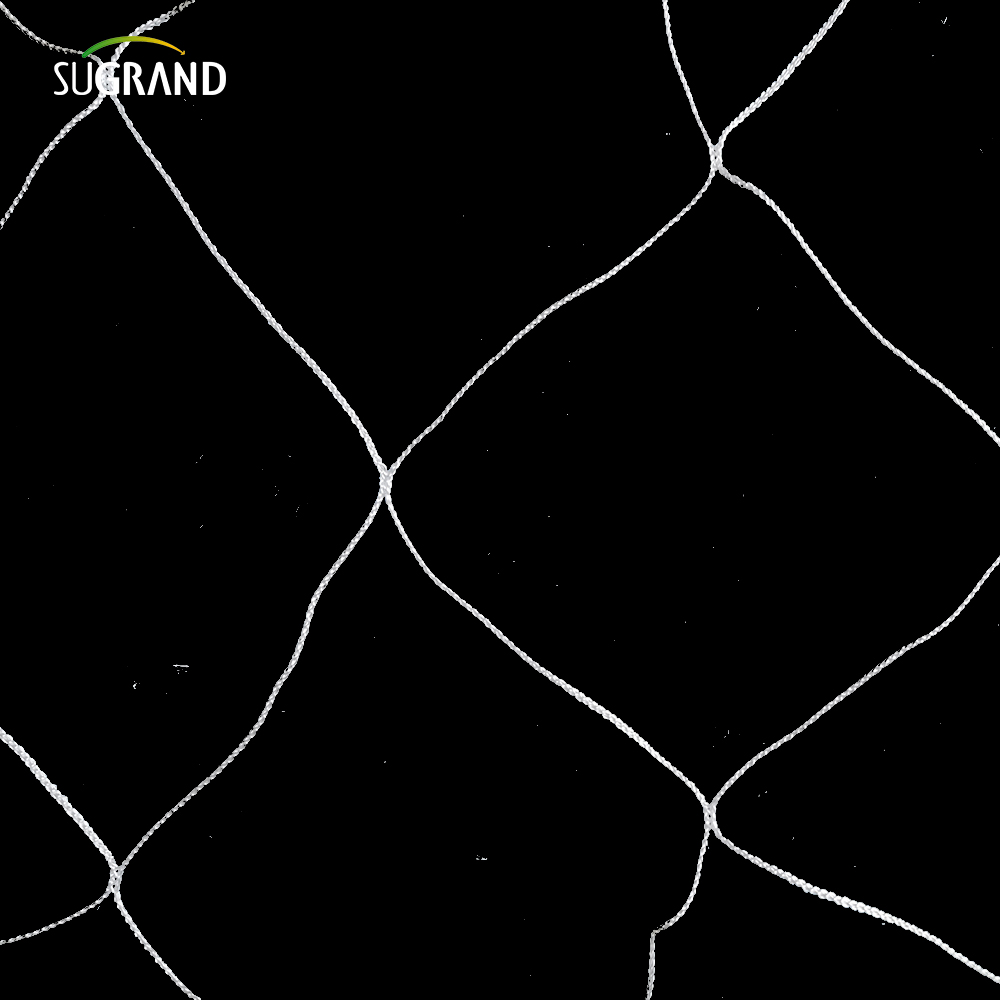 Χονδρική λευκή νάιλον φυτά στήριξη πόλης πόλης 5x15 πόδια κήπο 6 'για αναρρίχηση