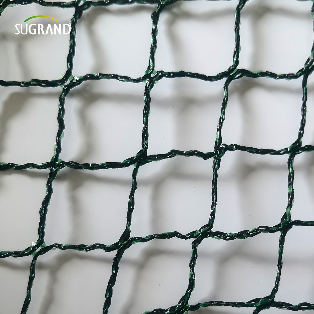 Τσεχική Δημοκρατία100% HDPE+UV 25GSM 20*20mm Mesh 5*6/12m Μαύρο Πράσινη Γεωργία