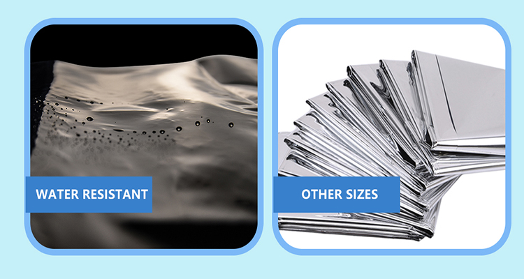 φιλμ για σάπια φύλλα (9)