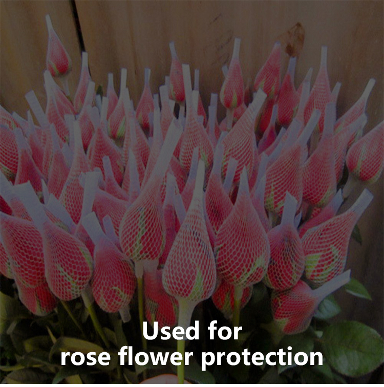 λουλούδι net15