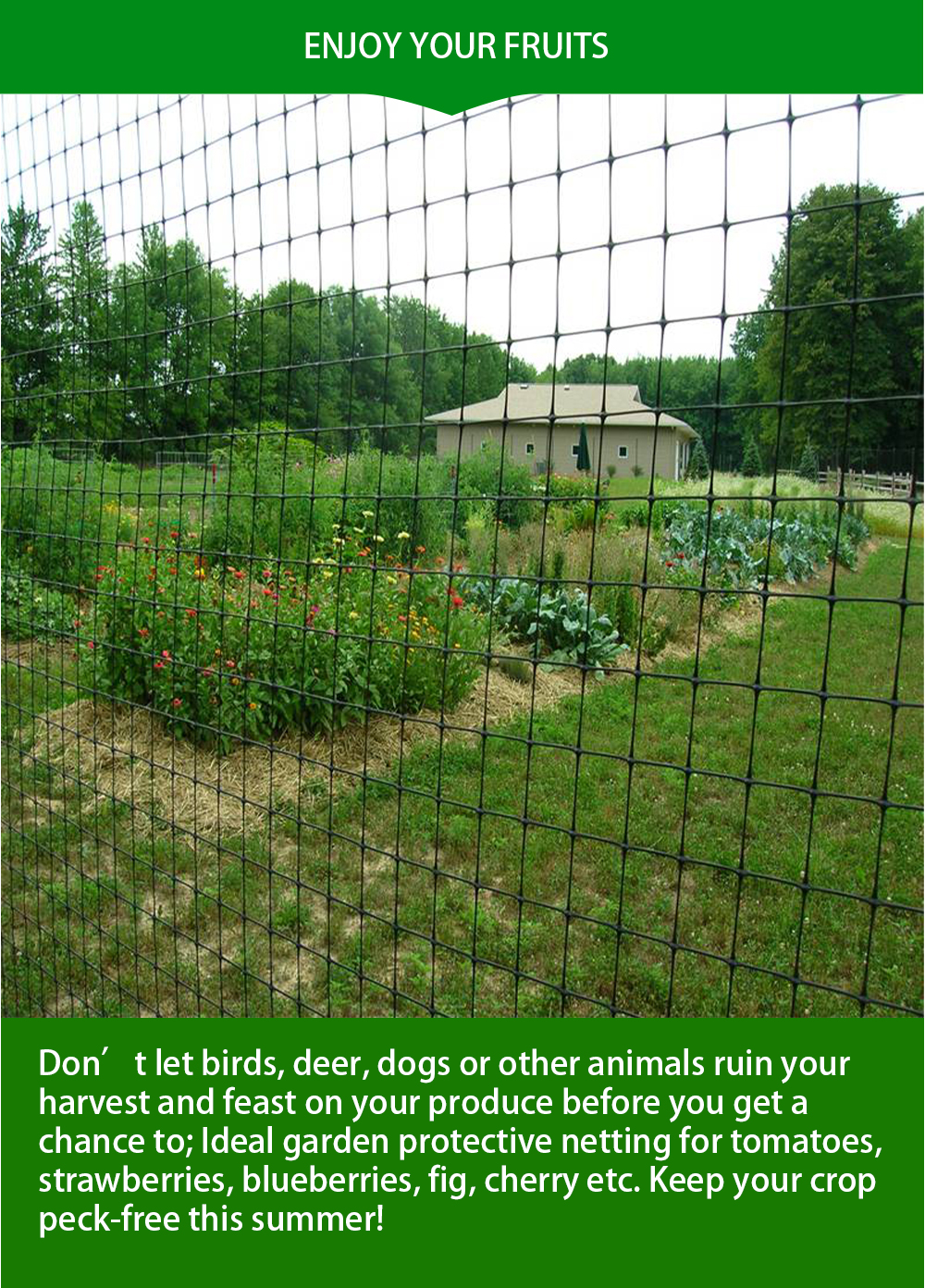 διχτυωτό αντικραδασμικό11