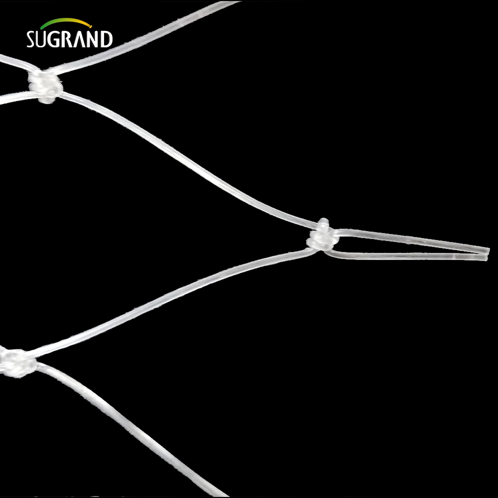 15*15cm Διαφανές δίχτυ από νάιλον για την αγορά του Περού