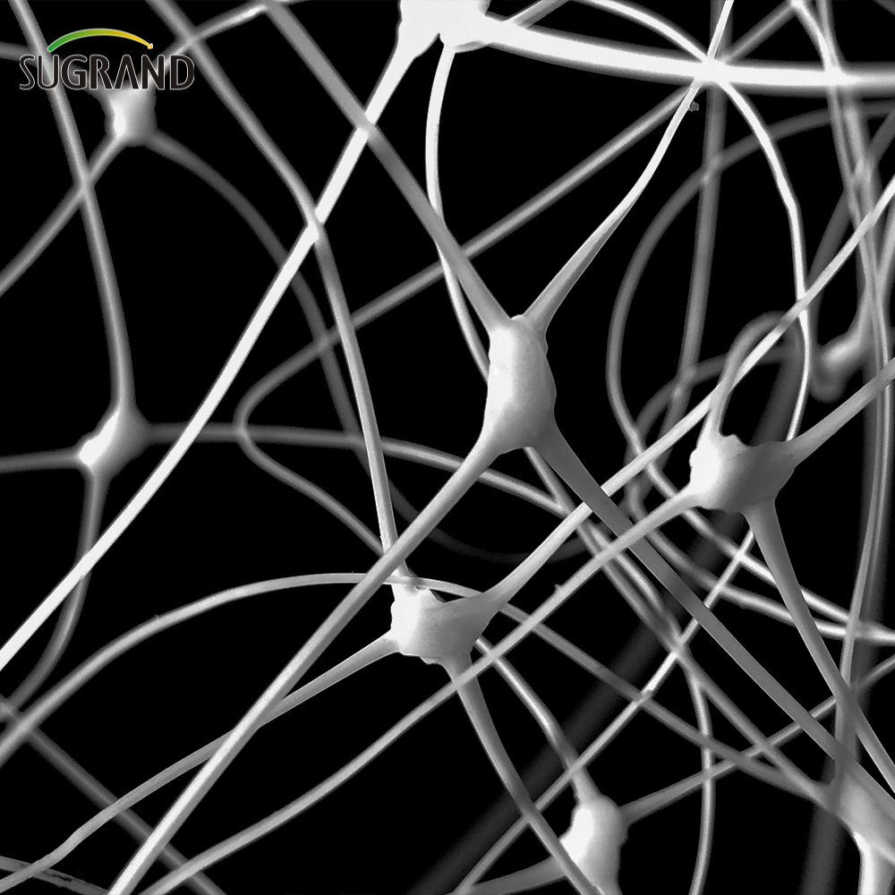 Κήπος πράσινο λευκό μπαλκκ πόλης φυτά αναρρίχηση υποστήριξης προμηθευτών δικτύου