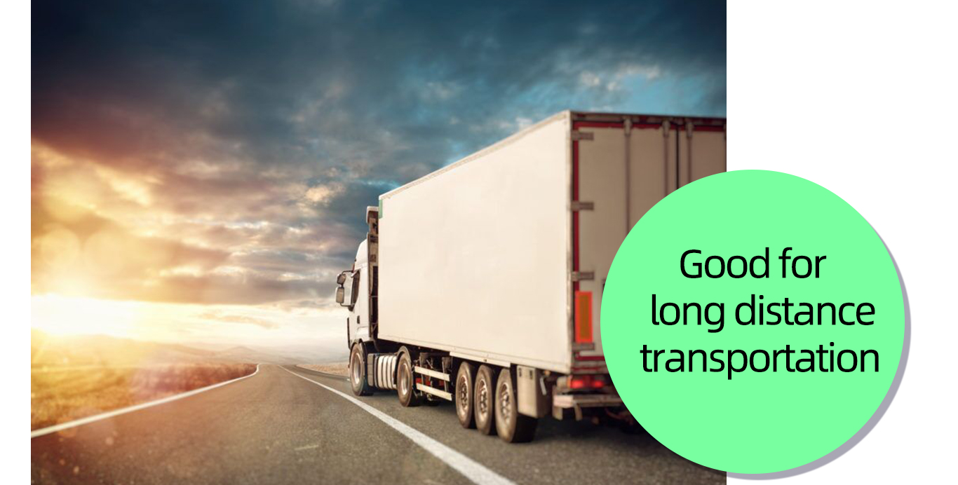 Δίσκοι εκκίνησης δενδρυλλίων