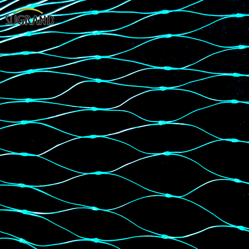 Ιρλανδική αγορά πράσινο εξωθημένο αντι -πτηνό καθαρό προστατευτικό φυτά