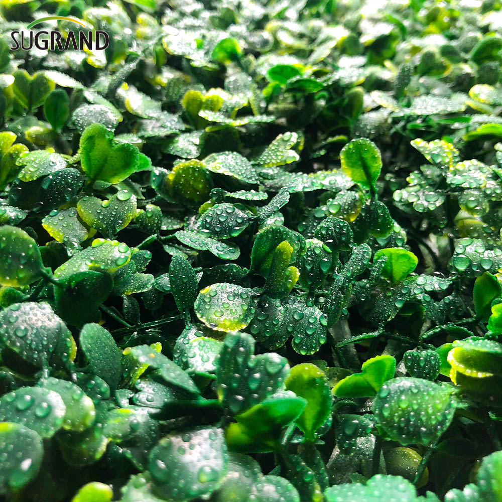 Τεχνητό φράχτη φύλλων PVC Τεχνητό φράχτη Τεχνητή χλοοτάπητα