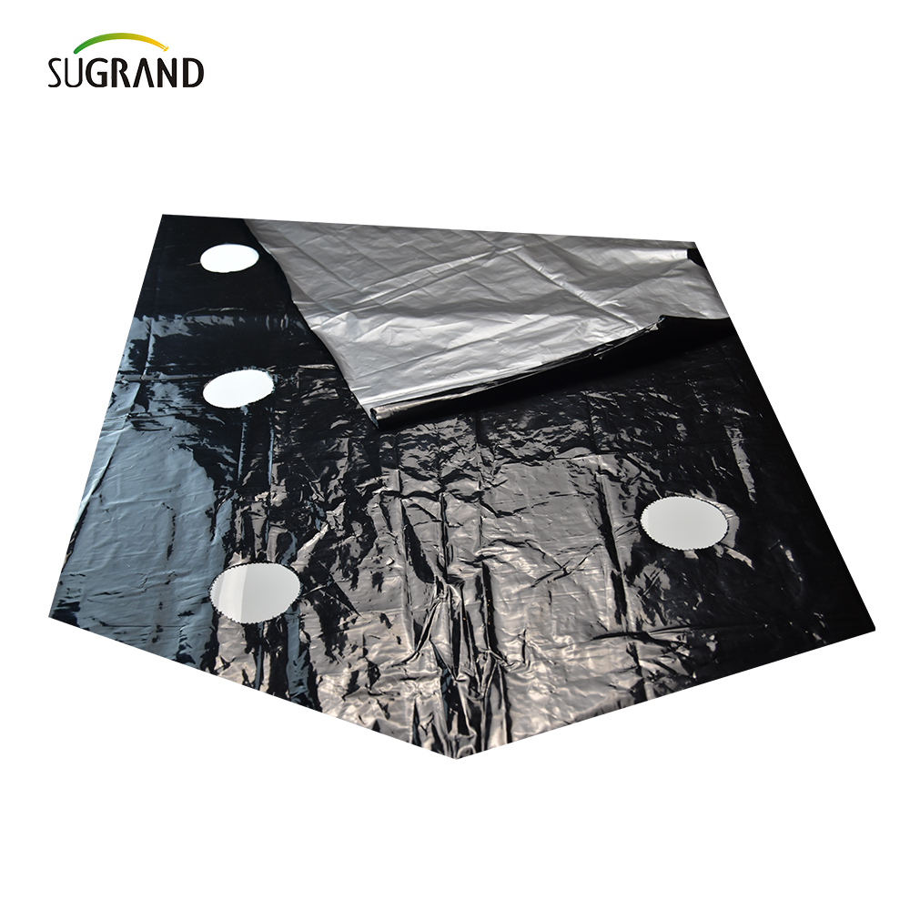 Mulch Film Supferviers