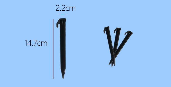 νυχτερινό νυχτερινό 