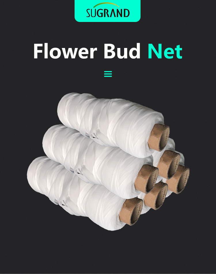 λουλούδι δίχτυ 1