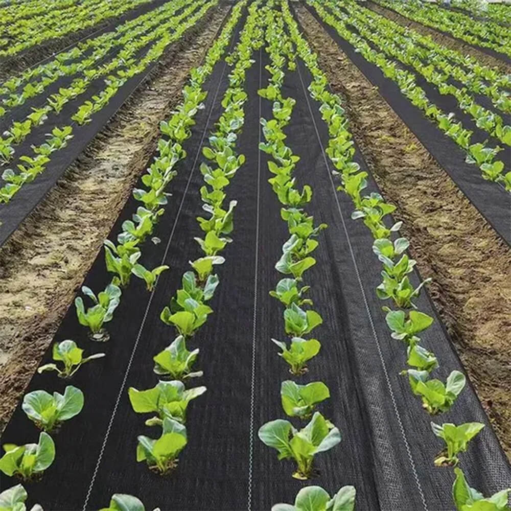 Dark Green Ground Cover Landscape Fabric Factory