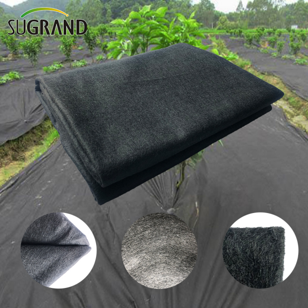 Τα χαρακτηριστικά της γεωργικής μη υφασμένης αύξησης των δενδρυλλίων