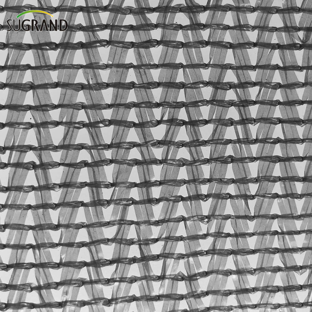 Έξι βελόνες μονο -ταινία γκρι σκιά δίχτυ
