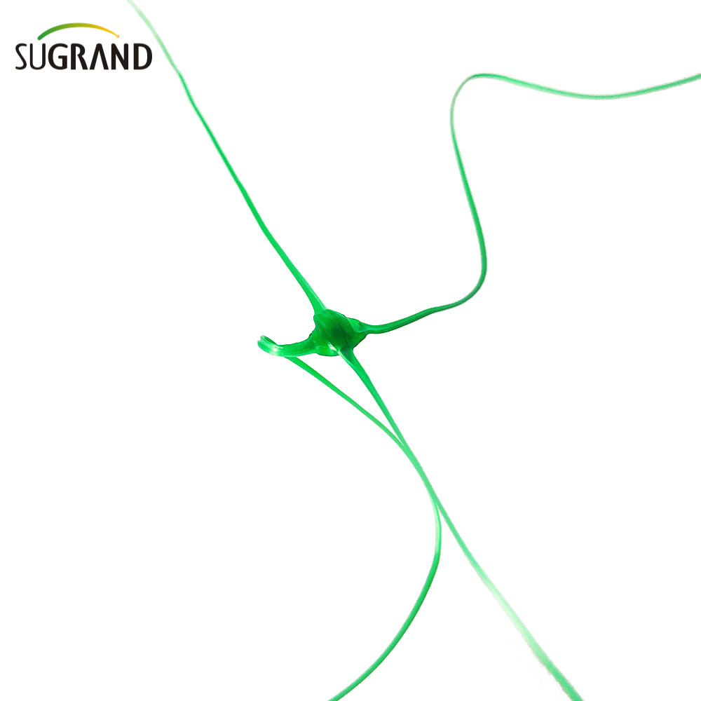 HDPE Plant Protection Net Plant Support Net Countbing Trellis Net