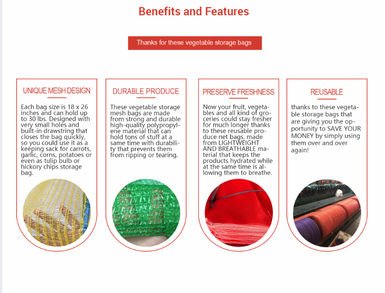 διχτυωτή τσάντα 6