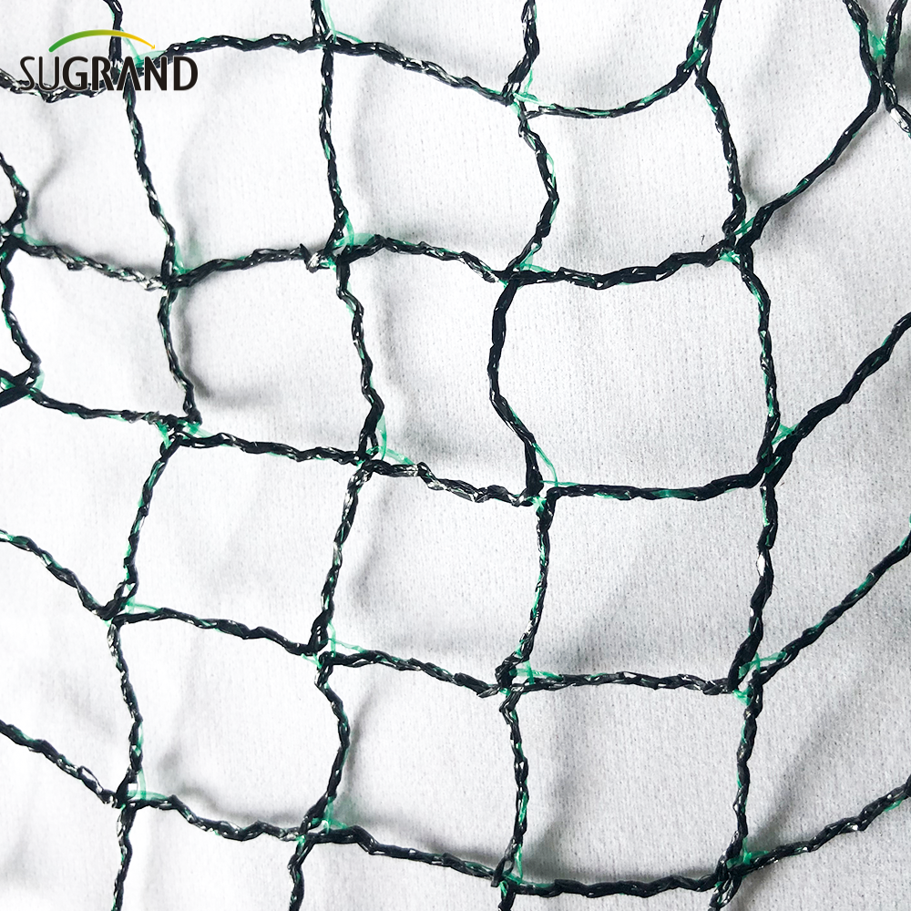 Πλέγμα πουλιών για φρούτα μαύρα και πράσινα περιστέρια πλέγμα