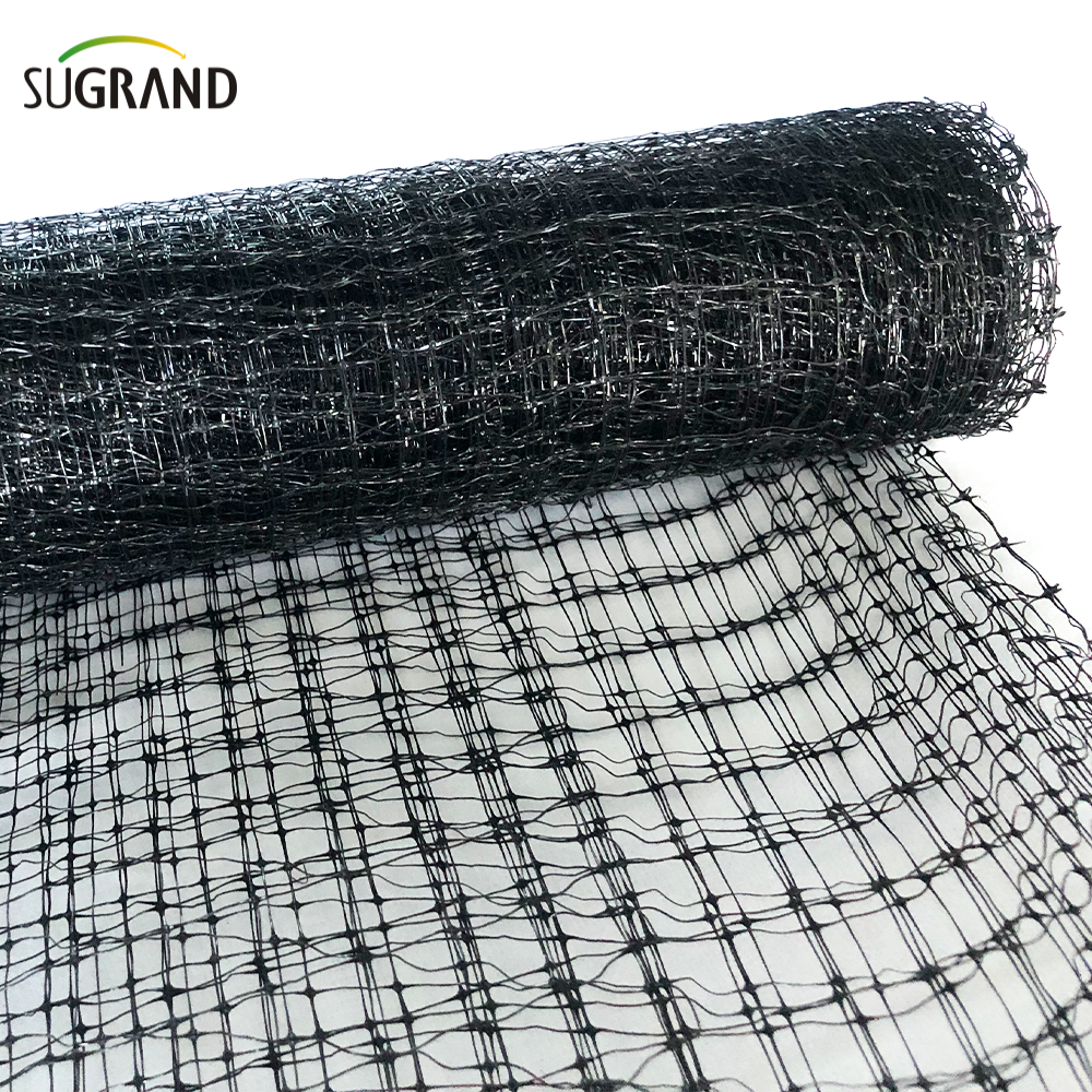 HDPE 200m εξωθημένο αντι -πτηνό δίχτυ για προστασία φρούτων λαχανικών