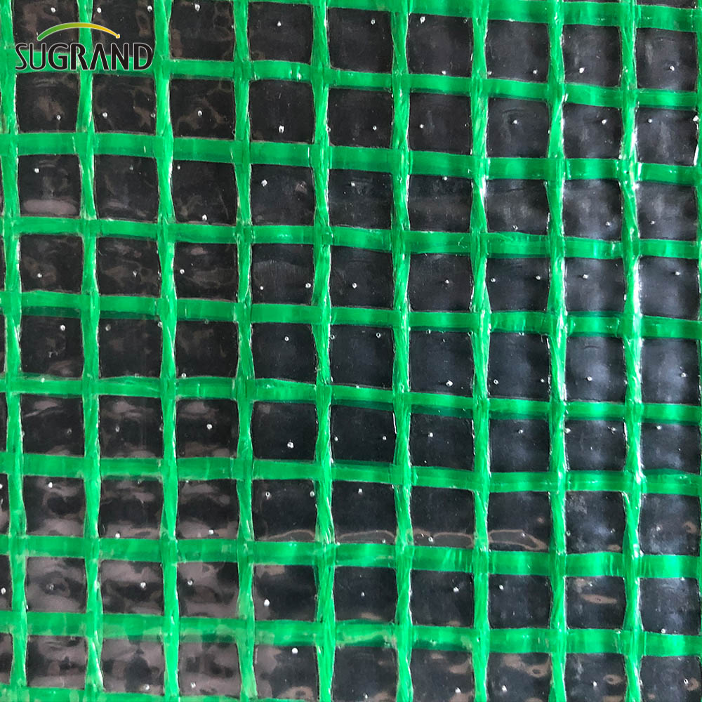 Κατασκευή Tarpaulin Ασφάλεια πλέγμα καθαρό πλέγμα pe tarpaulin