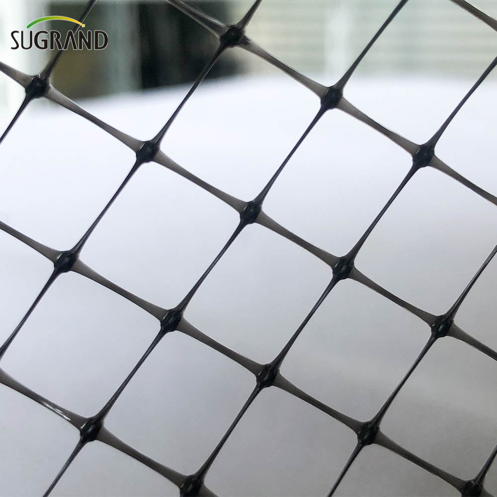 Τα μαύρα πτηνά δίχτυα εξωθημένους προμηθευτές αντι-πτηνών καθαρών πτηνών