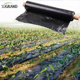 Biotelo Biotelo Βιοδιασπώμενη Φιλμ Agriplast Mulching Agri Mulch