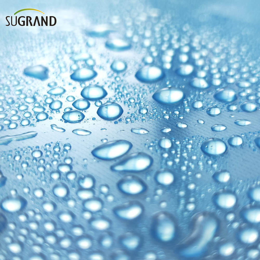  6 mil πολυαιθυλένιο φιλμ μπλε πλαστικό φιλμ θερμοκηπίου 