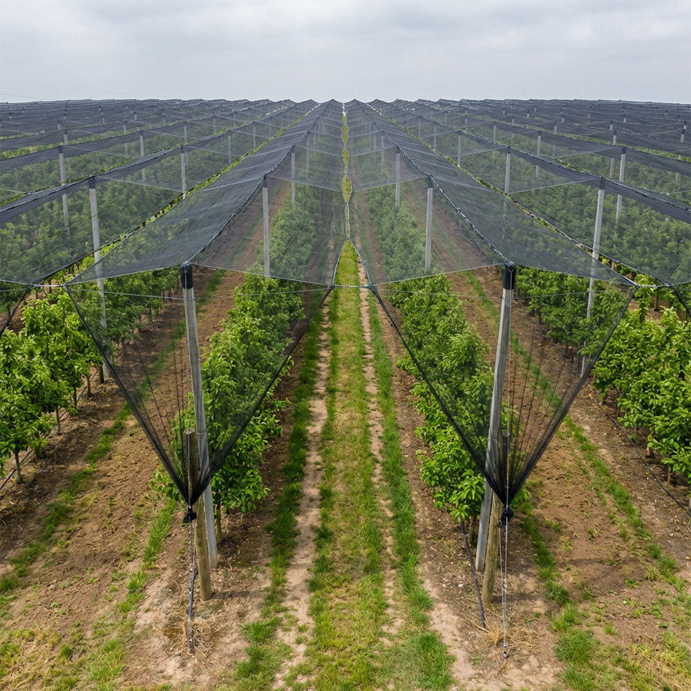 SUGRAND Αντιχαλαζικό δίχτυ για οπωρώνες αγροκτημάτων