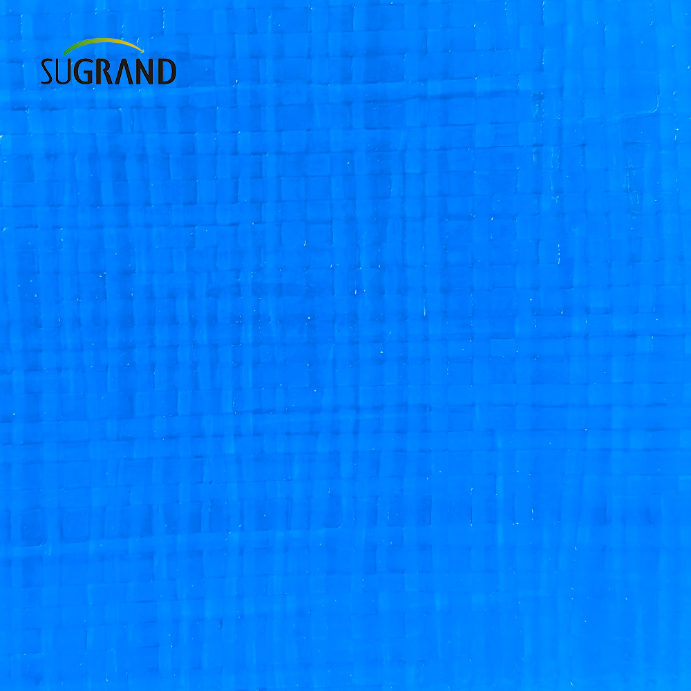 Κατασκευαστής Υψηλής αντοχής Ανθεκτικό μπλε αδιάβροχο PVC Tarpaulin 