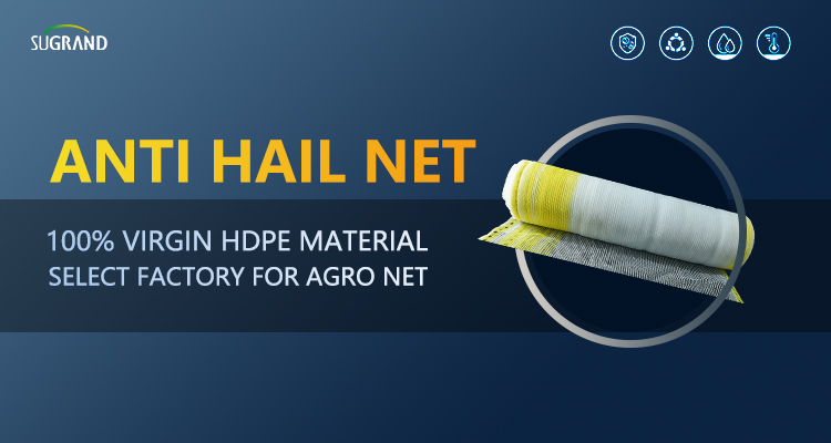 Χαίρε το δίχτυ για αμπελώνες