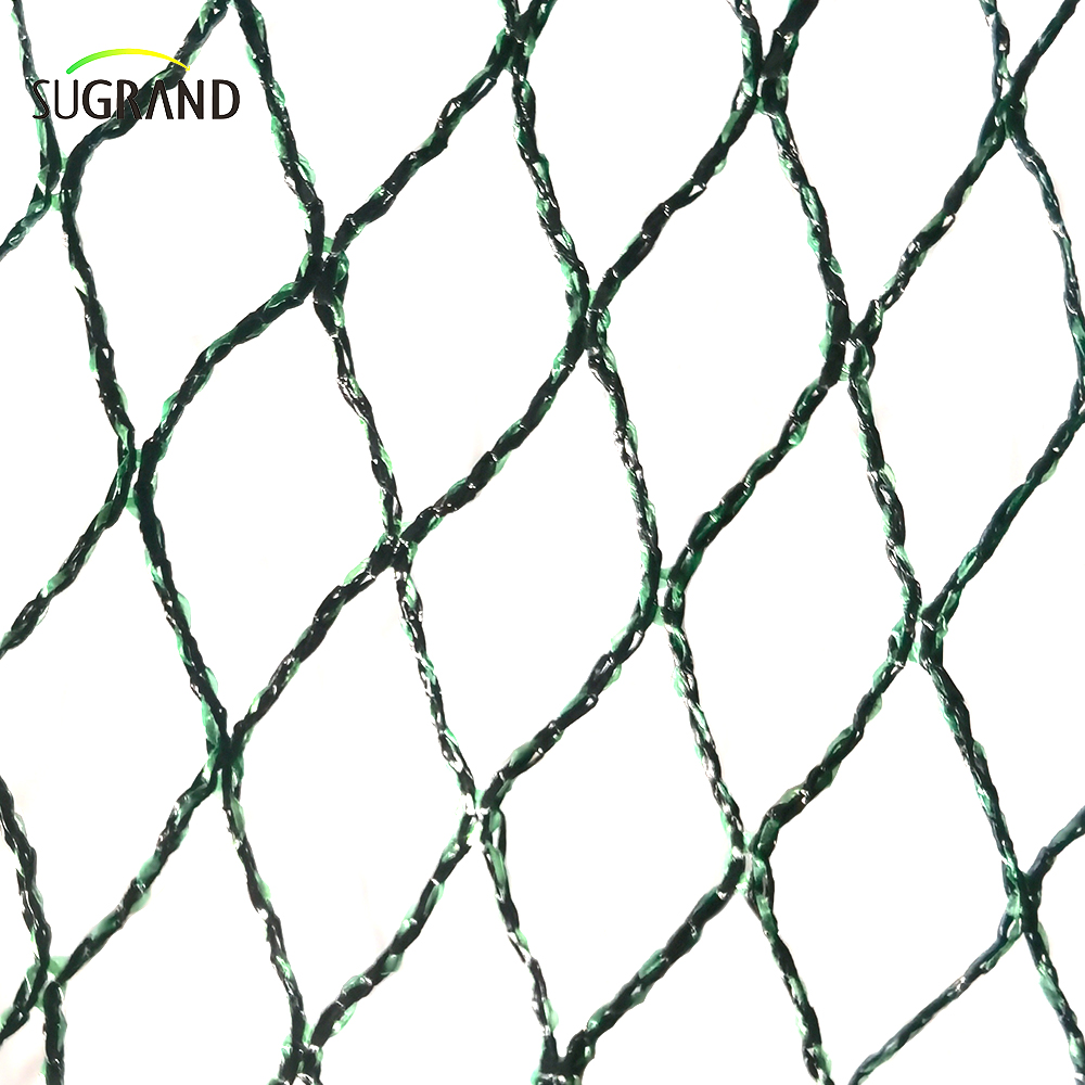Τσεχική Δημοκρατία100% HDPE+UV 25GSM 20*20mm Mesh 5*6/12m Μαύρο Πράσινη Γεωργία