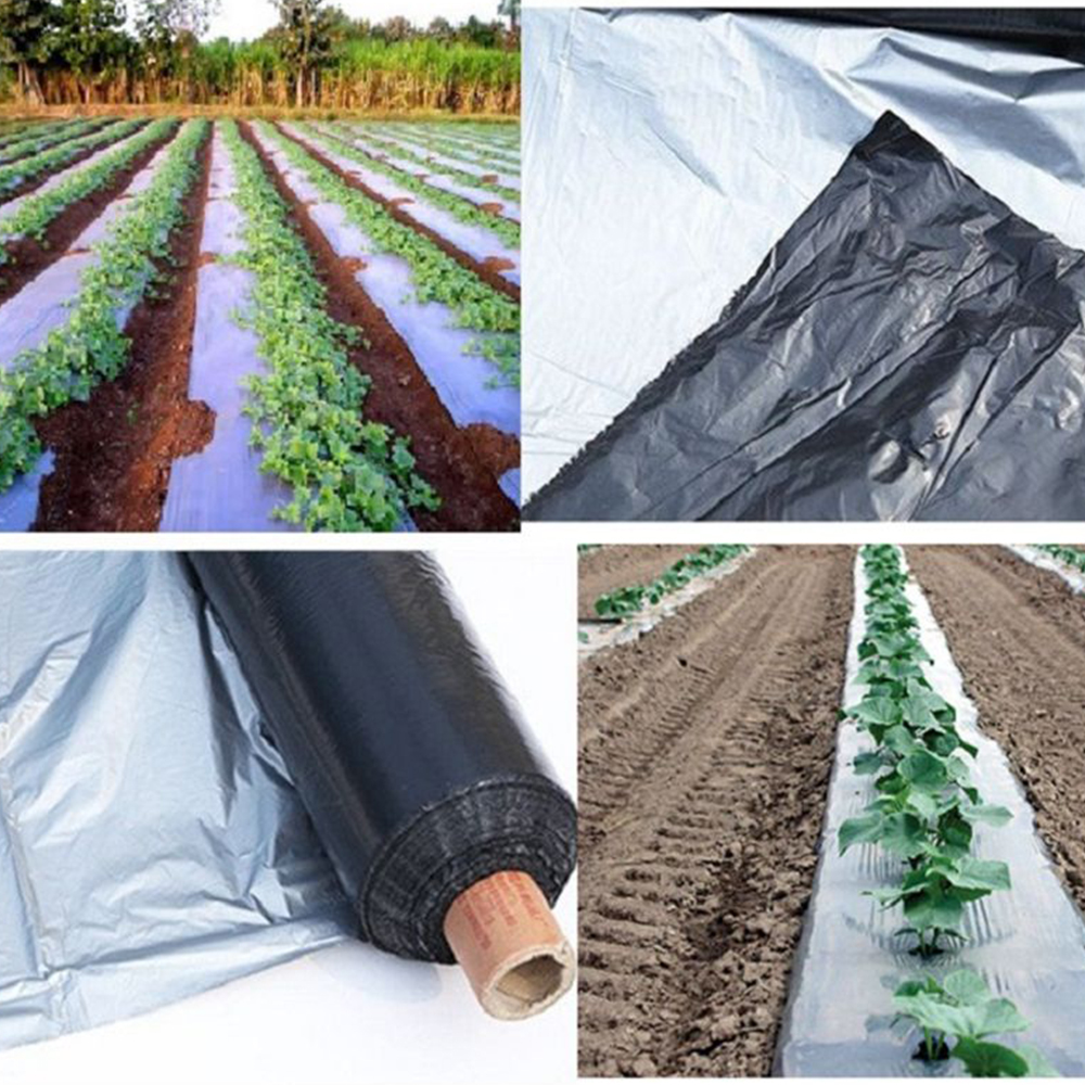 κινηματογραφική ταινία