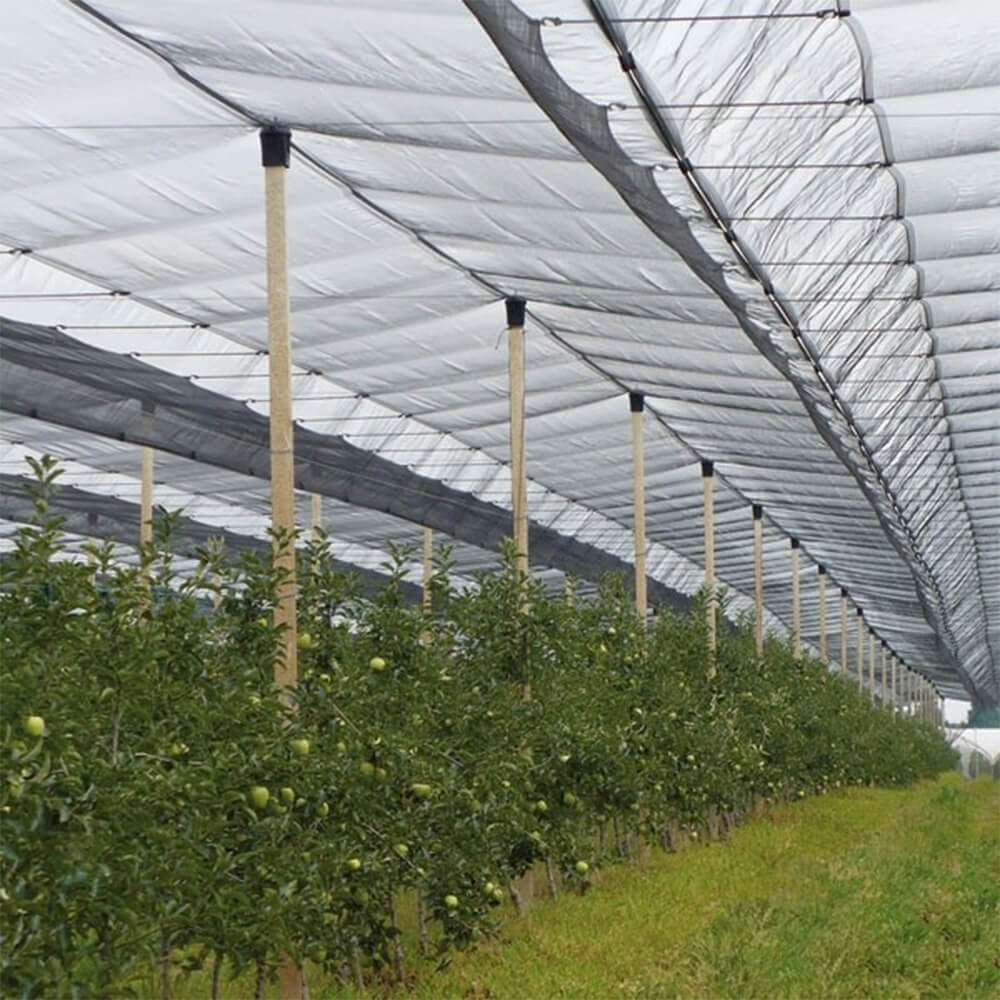 Premium πλεκτό δίχτυ για αμπελώνες