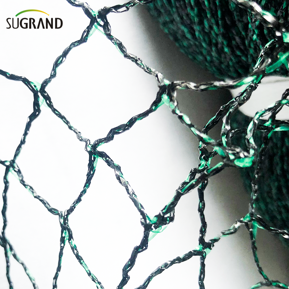 Η αποτελεσματικότητα του δίχτυ από νάιλον πουλιών στη διατήρηση των δασών