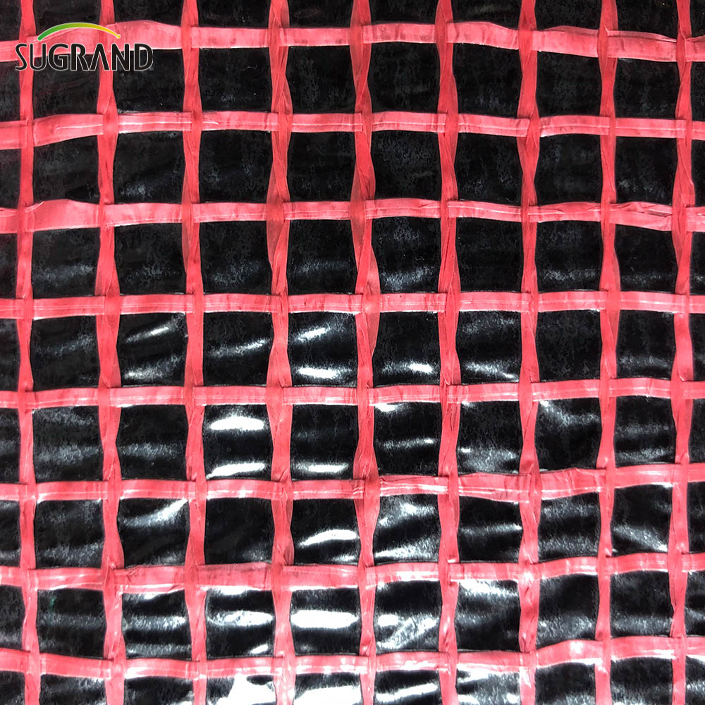 Πλαστικό πλέγμα ικριωμάτων διαφανής Tarpaulin PE