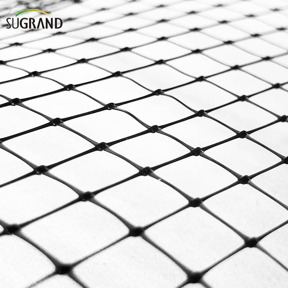 Τα μαύρα πτηνά δίχτυα εξωθημένους προμηθευτές αντι-πτηνών καθαρών πτηνών