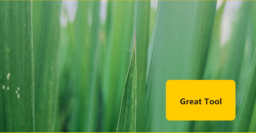 Filmhouse Greenhouse7