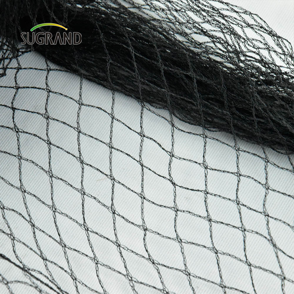 Agricultural Black Green Bird Net Factory