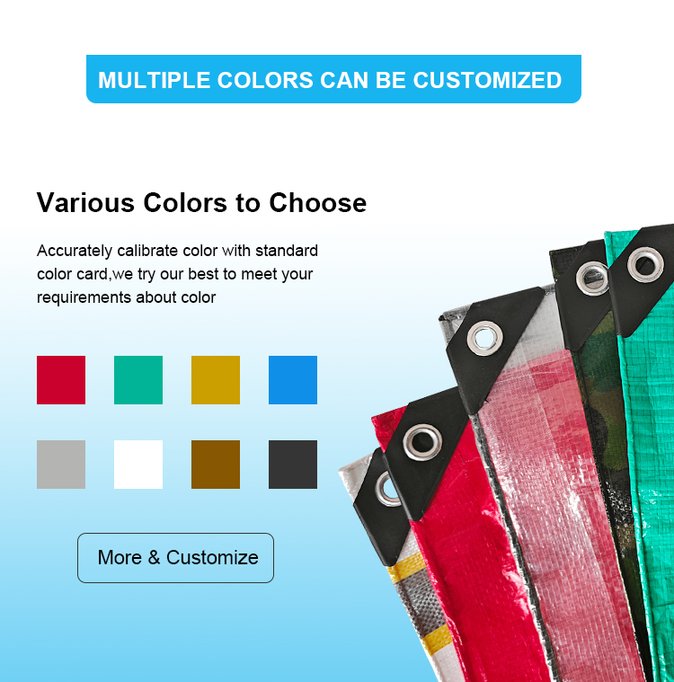 φύλλο Tarpaulin PE