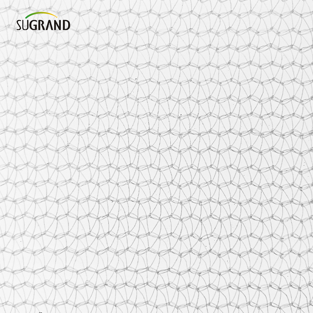 Κίνα εργοστάσιο 80GSM White Building Safety Rebolding Net