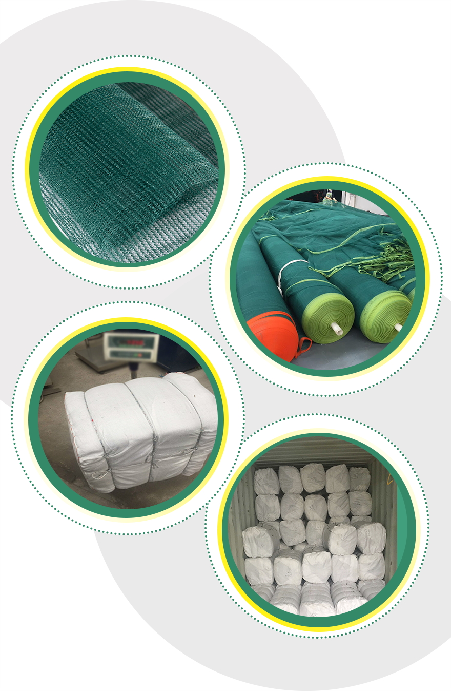 δίχτυ ελιάς-3