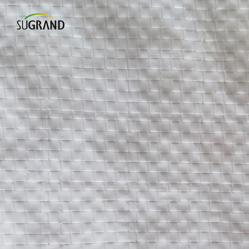 Εργοστασιακό άμεσο χονδρικό λευκό πλαστικό φύλλο tarpaulin pe uv