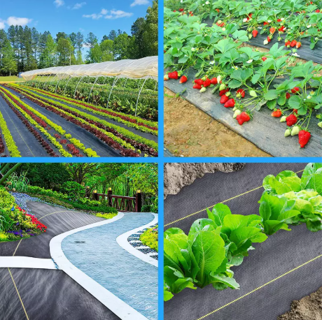 Μπορεί το κάλυμμα του εδάφους να χειρίζεται σκληρό καιρό;