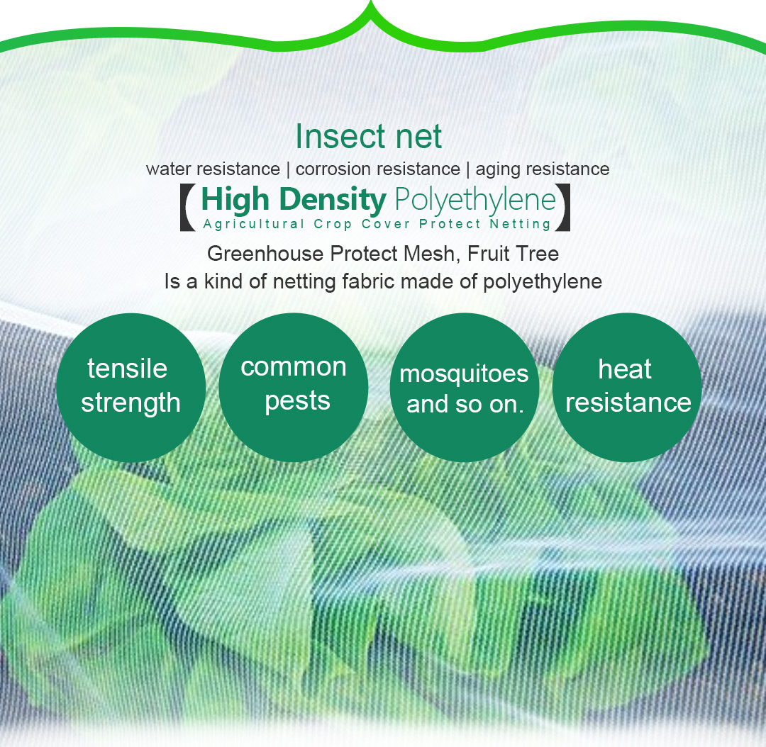 δίχτυ εντόμων4